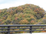 20171104_113927.jpg